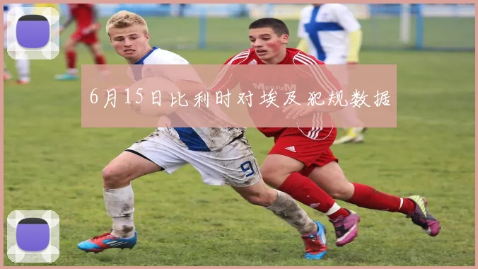 6月15日比利时对埃及犯规数据