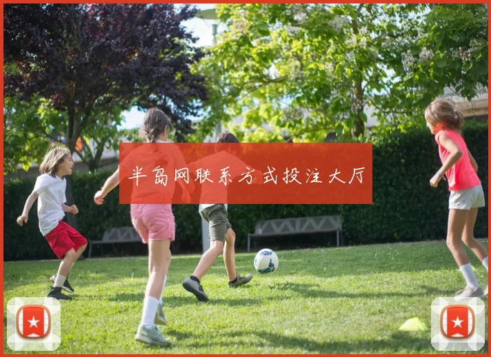 半岛网联系方式投注大厅