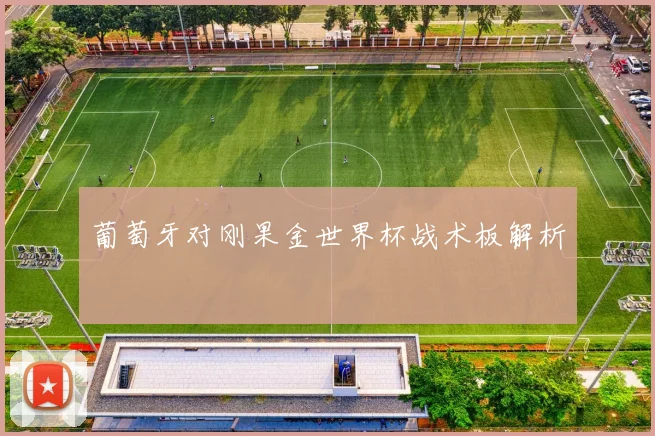 葡萄牙对刚果金世界杯战术板解析