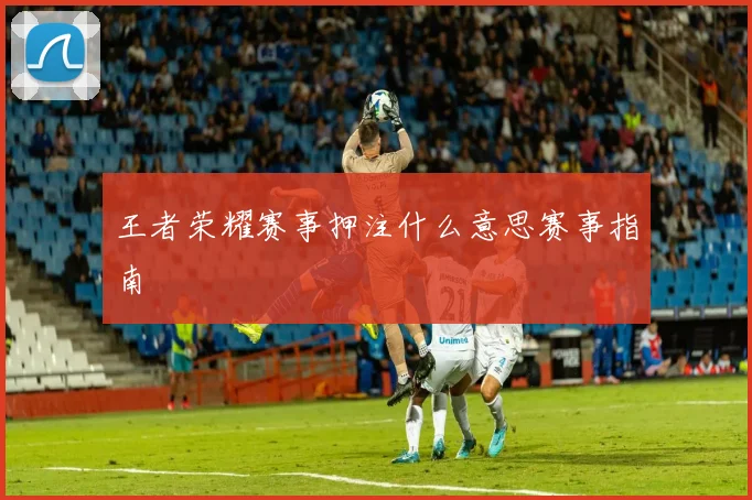 王者荣耀赛事押注什么意思赛事指南